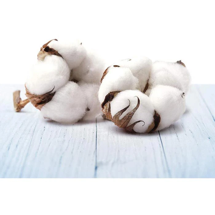 Airwick Raumduft Freshmatic Max, Pure, 250 Ml, Nachfüller, Frische Wäsche 4 Airwick Raumduft Freshmatic Max, Pure, 250 Ml, Nachfüller, Frische Wäsche – Bild 2