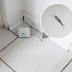 Gardigo Silberfischfalle Monitoring-System, Klebefalle, Wirkt Bis Zu 8 Wochen, 3 Stück 14 Gardigo Silberfischfalle Monitoring-System, Klebefalle, Wirkt Bis Zu 8 Wochen, 3 Stück -Einrichtungsgeschäft 1530ad2ac69439b1a926c905e82a54848710ee72 silberfischfalle gardigo monitoring system