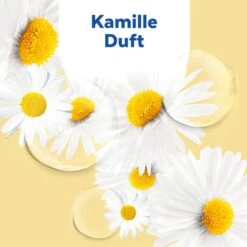 Sagrotan No-Touch Starter-Set Lotusblüte & Kamillenöl, Flüssigseife, Automatischer Seifenspender, 250ml -Einrichtungsgeschäft 476b830b8c812c587d8646b907a8fb9adc764516 seife sagrotan no touch starter set lotusbluete