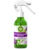 Airwick Raumduft Duftspray, 237 Ml, Geruchsneutralisierend, Lavendel & Maiglöckchen 1 Airwick Raumduft Duftspray, 237 Ml, Geruchsneutralisierend, Lavendel & Maiglöckchen -Einrichtungsgeschäft 4c9aeb3d8dd789d1f5fa2dc765dddcce308f233a raumduft airwick duftspray 237 ml
