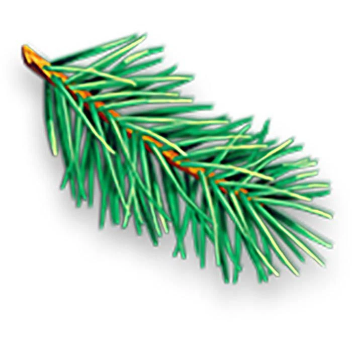 WC-Ente WC-Duftspüler Active 3in1, Waldfrische, Reinigt & Erfrischt, Im Korb 4 WC-Ente WC-Duftspüler Active 3in1, Waldfrische, Reinigt & Erfrischt, Im Korb – Bild 2