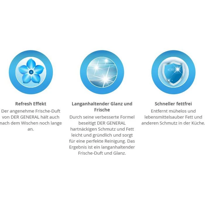 Der-General Hygienereiniger Zitrone, Küchenreiniger, Spray, 500ml 6 Der-General Hygienereiniger Zitrone, Küchenreiniger, Spray, 500ml – Bild 4