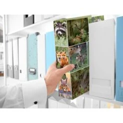 Herma Ordner 7202 Animals, Karton, A4, 7cm, Motiv Waldtiere -Einrichtungsgeschäft 7119246b0eabb300290199128db2d72b623c44b7 ordner herma 7202 animals karton a4