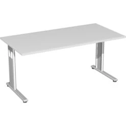 Geramöbel Schreibtisch Flex S-618103-LS, Lichtgrau, Maße: 160 X 80cm