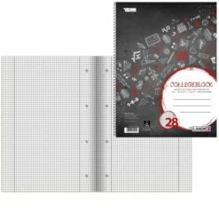 Landre Collegeblock 100050064 College, A4, Innen- Und Außenrand, 70 G/m², 80 Blatt, Kariert