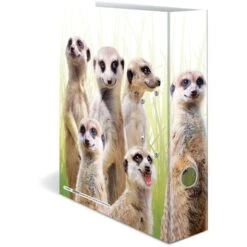 Herma Ordner 19955 Exotische Tiere, Karton, A4, 7cm, Motiv Erdmännchentruppe 10 Herma Ordner 19955 Exotische Tiere, Karton, A4, 7cm, Motiv Erdmännchentruppe -Einrichtungsgeschäft 8b5b9c7095b53cdee72caf06c711c9e9776b1f35 ordner herma 19955 exotische tiere karton a4