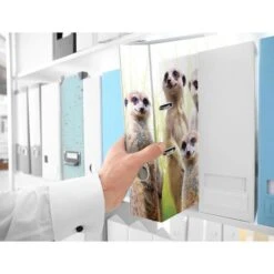 Herma Ordner 19955 Exotische Tiere, Karton, A4, 7cm, Motiv Erdmännchentruppe 9 Herma Ordner 19955 Exotische Tiere, Karton, A4, 7cm, Motiv Erdmännchentruppe -Einrichtungsgeschäft 91bbb91ca1d041674298e812bdb4e1e349729dc7 ordner herma 19955 exotische tiere karton a4