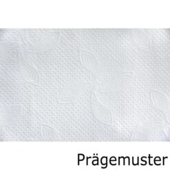 Katrin Papierhandtücher Classic Non Stop L 2 Wide, 2-lagig, Interfold-Falz, 24 X 32 Cm, 3000 Stück 10 Katrin Papierhandtücher Classic Non Stop L 2 Wide, 2-lagig, Interfold-Falz, 24 X 32 Cm, 3000 Stück -Einrichtungsgeschäft d1a762d36d5cdebcc216421932dcd3272e6bb3c8 papierhandtuecher katrin classic non stop l 2 wide