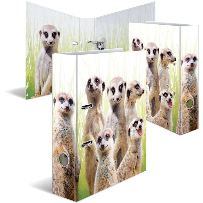 Herma Ordner 19955 Exotische Tiere, Karton, A4, 7cm, Motiv Erdmännchentruppe 7 Herma Ordner 19955 Exotische Tiere, Karton, A4, 7cm, Motiv Erdmännchentruppe – Bild 5